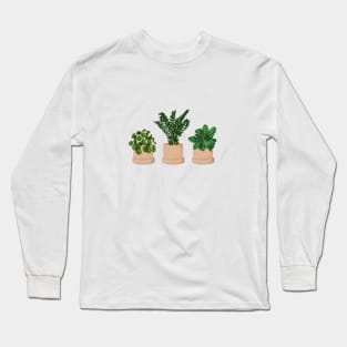 House Plants Illustration 31 Long Sleeve T-Shirt